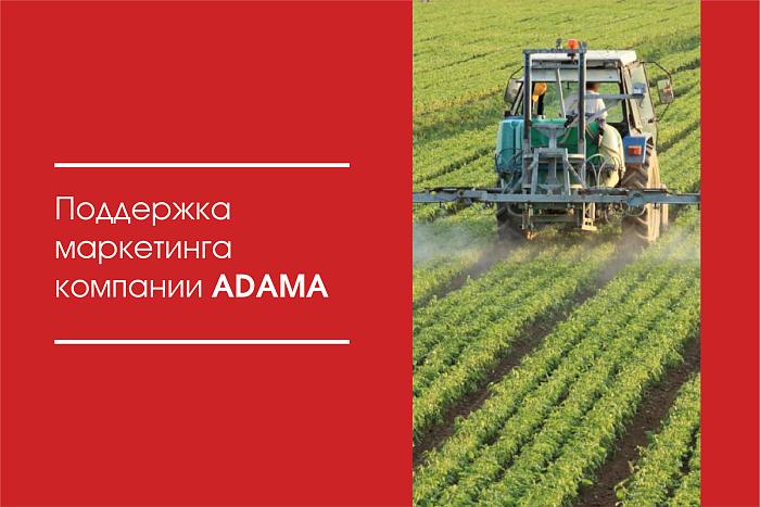 Поддержка маркетинга компании Adama